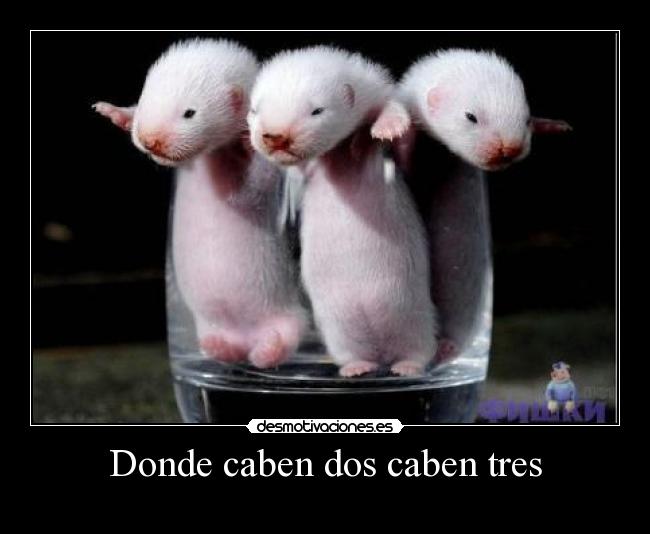 Donde caben dos caben tres - 