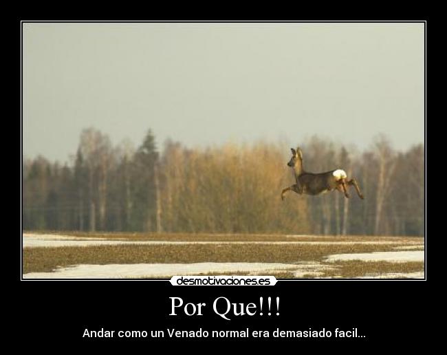 Por Que!!! -