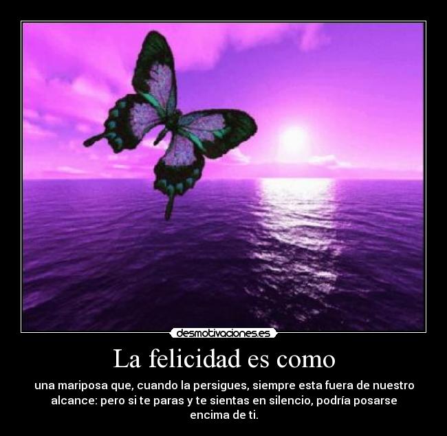 La felicidad es como -