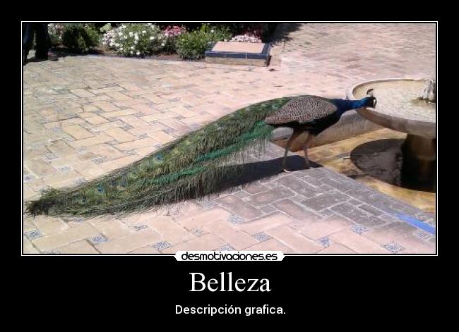 carteles pablo_mugen desmotivaciones