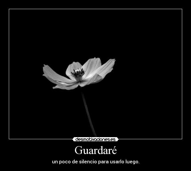 Guardaré - un poco de silencio para usarlo luego.