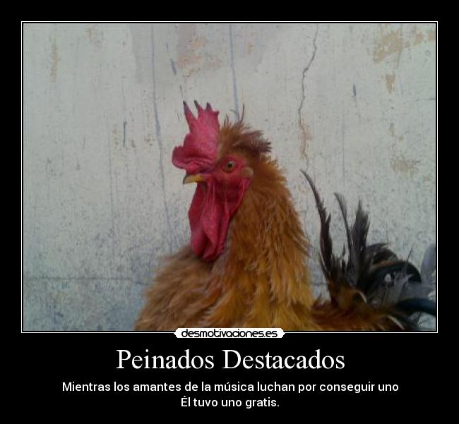 Peinados Destacados - Mientras los amantes de la música luchan por conseguir uno
Él tuvo uno gratis.