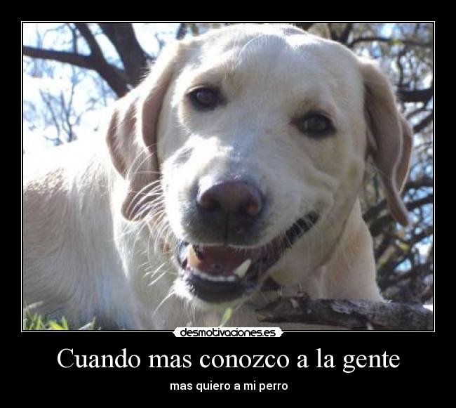 carteles dfser235 desmotivaciones