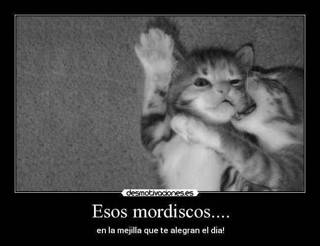 Esos mordiscos.... -