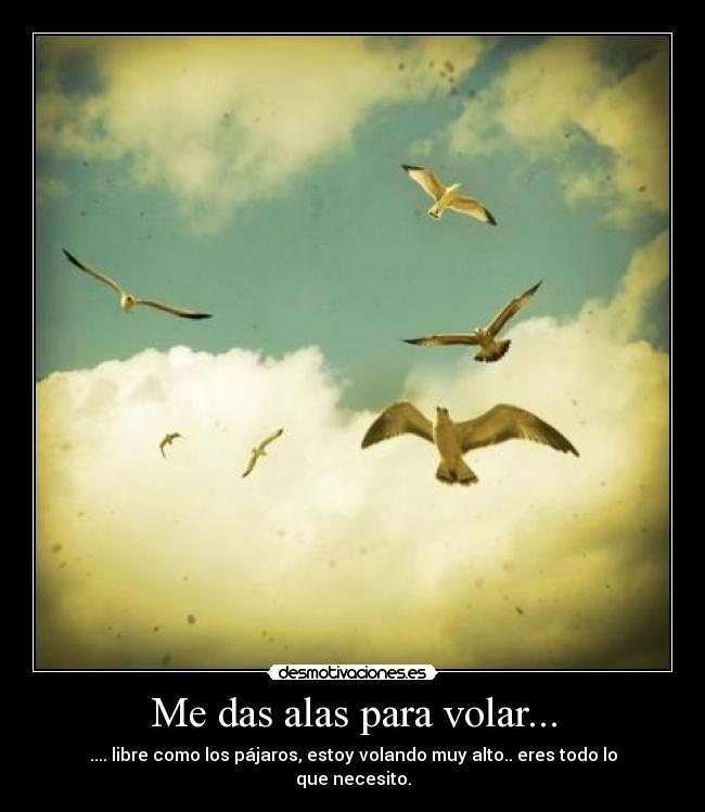 Me das alas para volar... - .... libre como los pájaros, estoy volando muy alto.. eres todo lo que necesito.