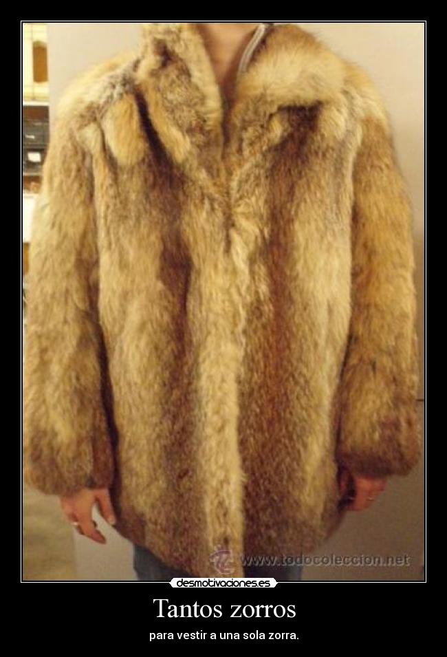 Tantos zorros - 