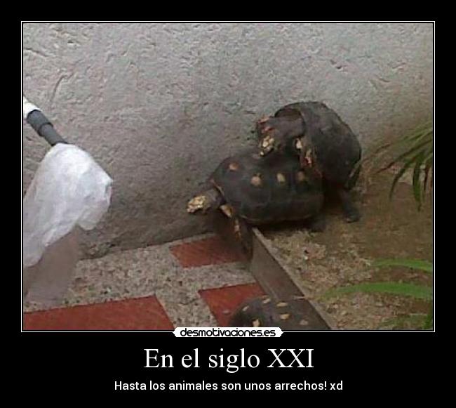 En el siglo XXI - 