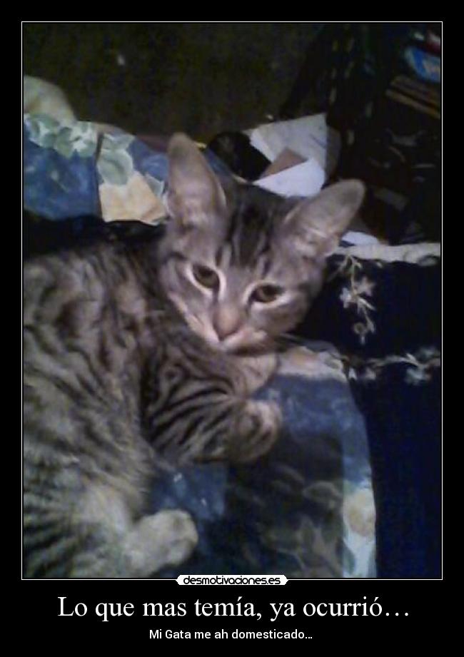 Lo que mas temía, ya ocurrió… - 