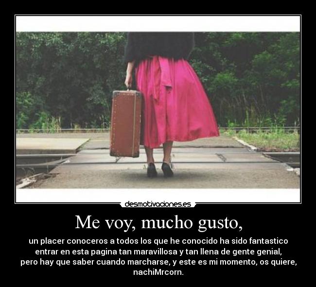 carteles que que voy suiza vuelvo una semanita intentare conectar algo hamotelalocos desmotivaciones