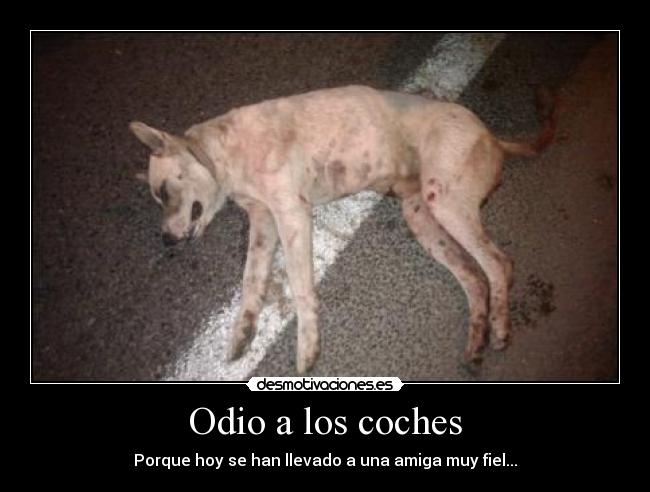 Odio a los coches -