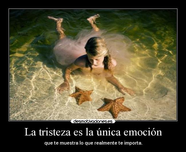 carteles tristeza kurara7 desmotivaciones