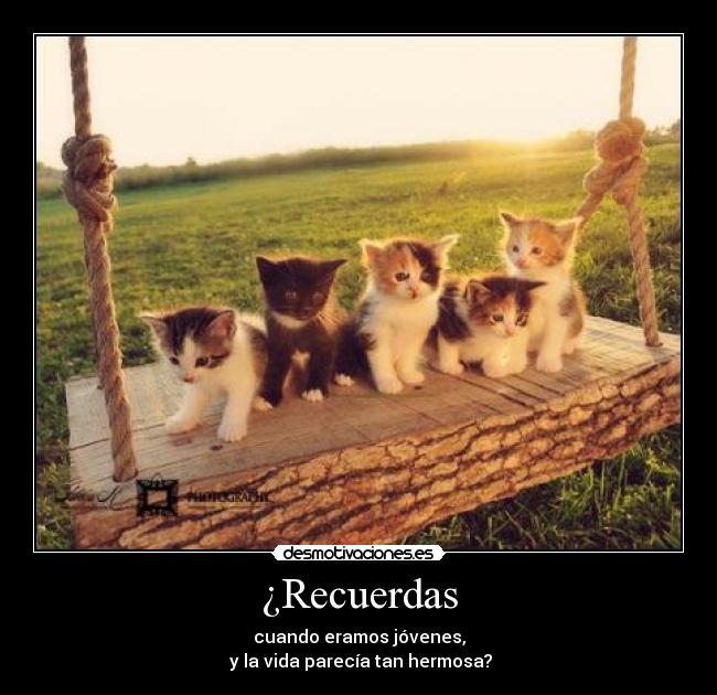¿Recuerdas - 