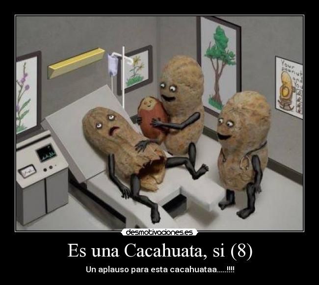 Es una Cacahuata, si (8) -
