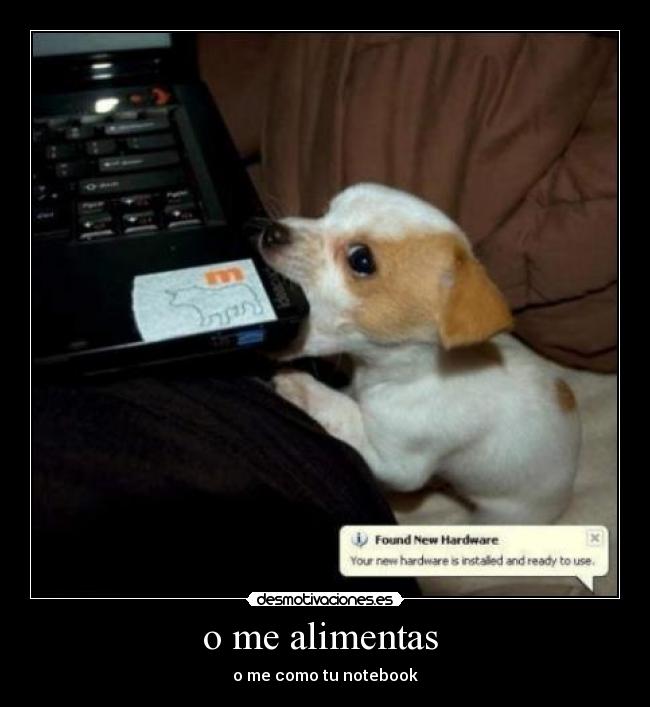 carteles notebook desmotivaciones