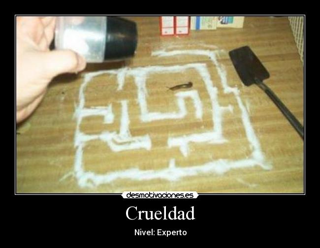 Crueldad - 