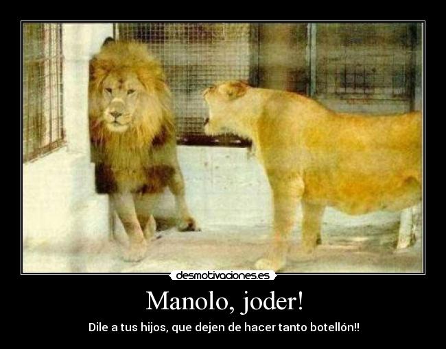 Manolo, joder! -