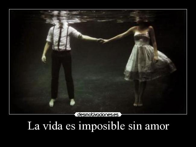 carteles vida imposible amor amorimposible desmotivaciones