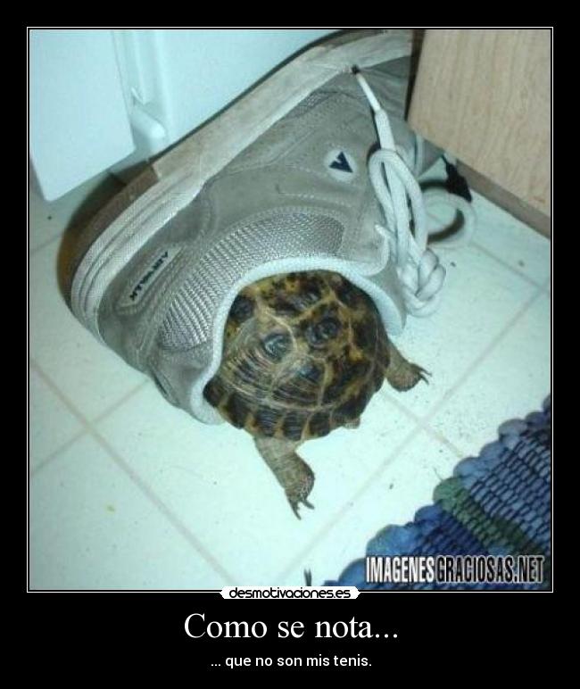 Como se nota... - ... que no son mis tenis.