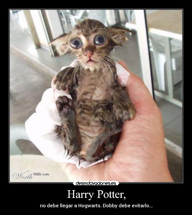Harry Potter, - no debe llegar a Hogwarts. Dobby debe evitarlo...