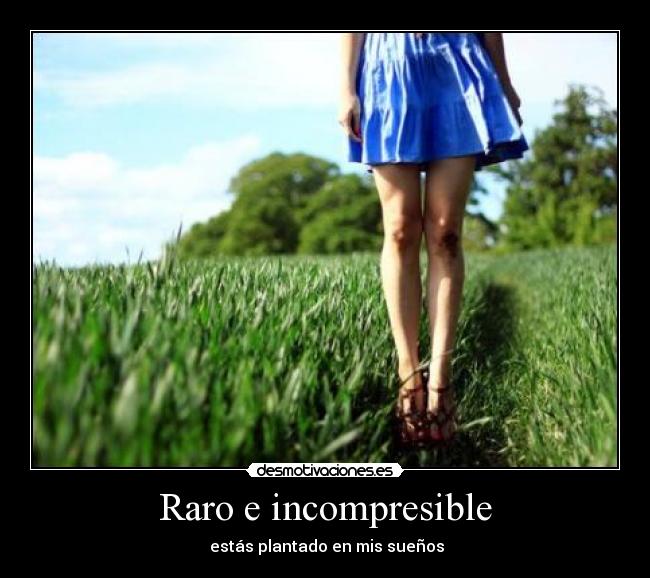 Raro e incompresible - 