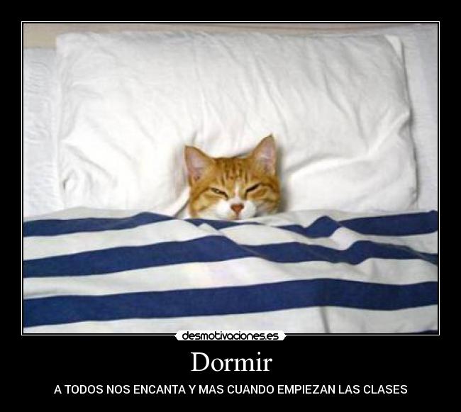 Dormir - A TODOS NOS ENCANTA Y MAS CUANDO EMPIEZAN LAS CLASES