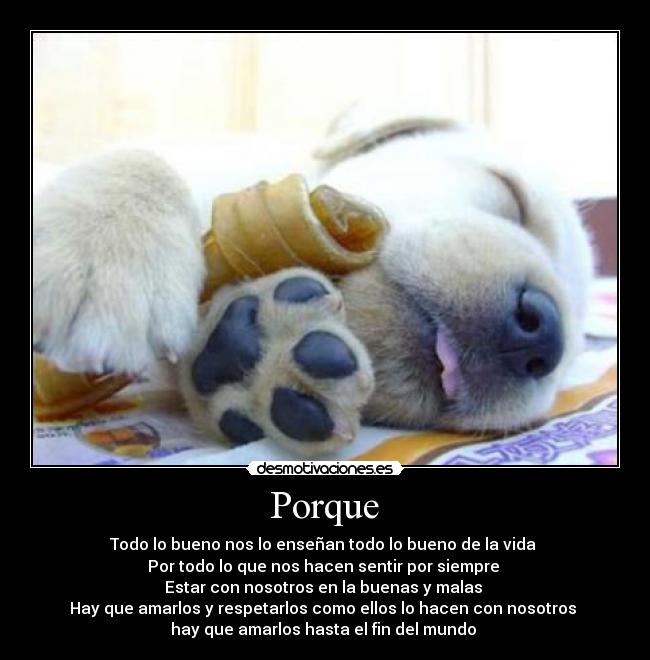 carteles maaiarcelus magicofflive desmotivaciones