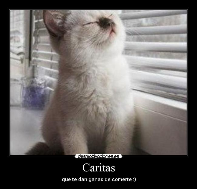 Caritas -