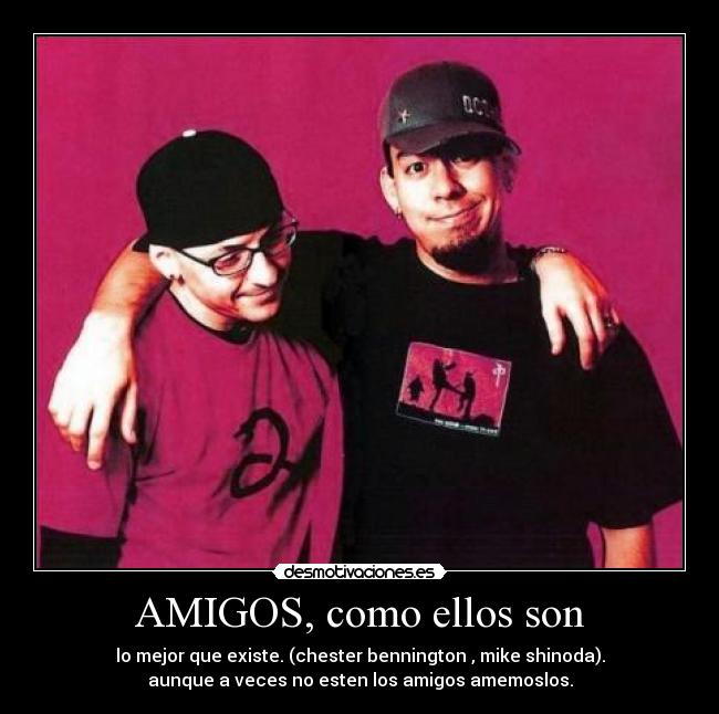 AMIGOS, como ellos son - 