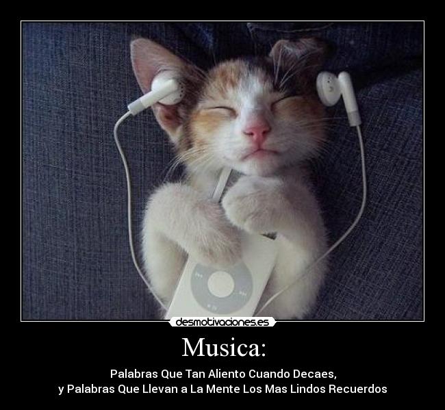 Musica: -