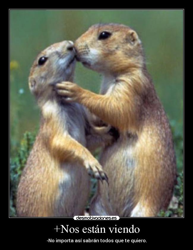 carteles demuestra carino siempre esa persona amada desmotivaciones