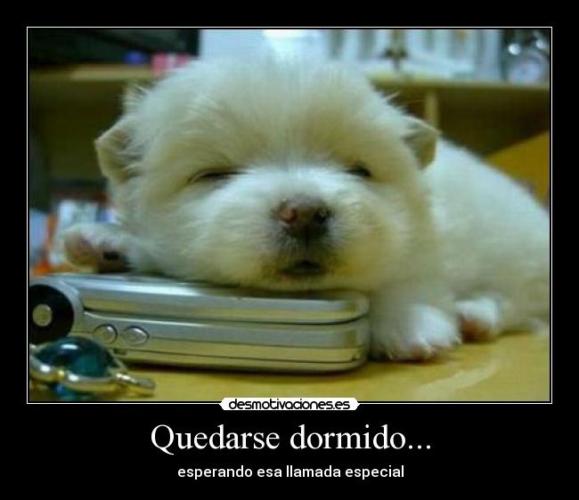 Quedarse dormido... -