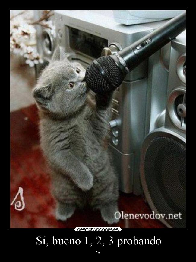 Si, bueno 1, 2, 3 probando - 