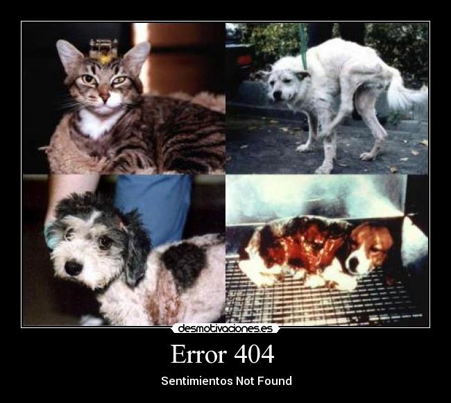 Error 404 -