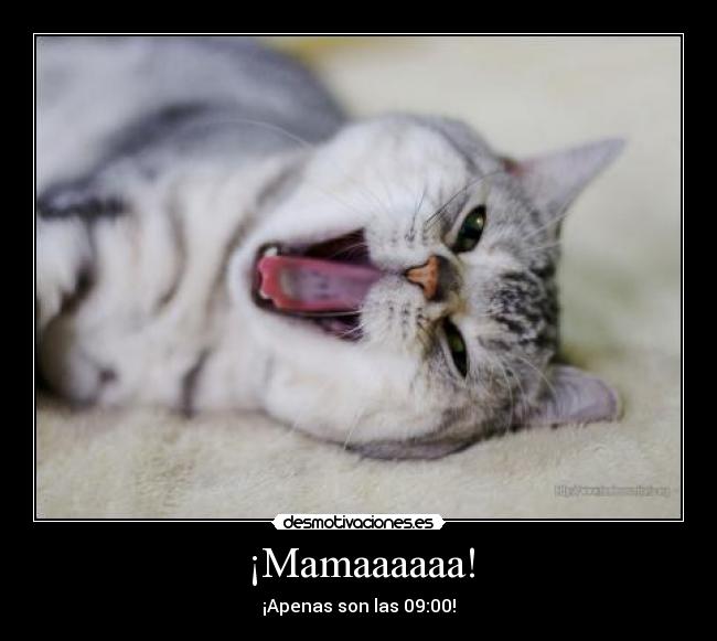 ¡Mamaaaaaa! - 
