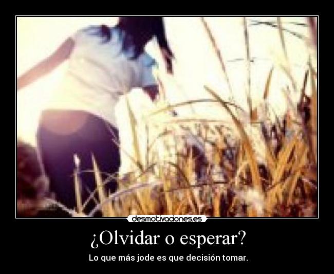 ¿Olvidar o esperar? - 