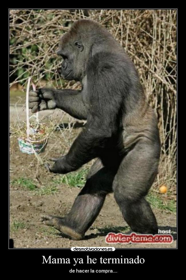 Mama ya he terminado -