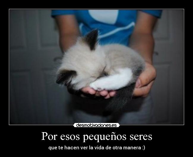 Por esos pequeños seres -