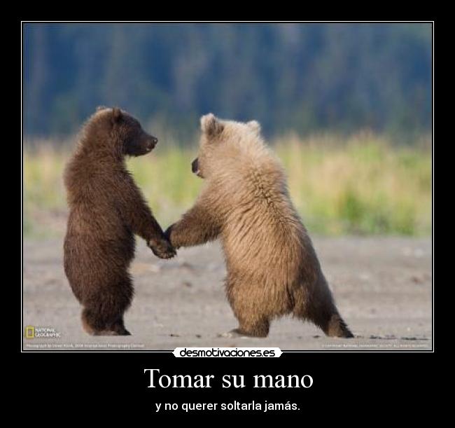 Tomar su mano - y no querer soltarla jamás.