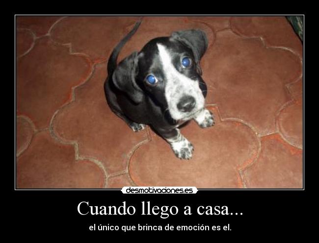Cuando llego a casa... -