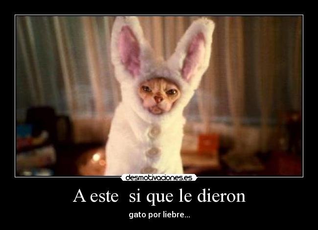 carteles ffwer5w34df desmotivaciones