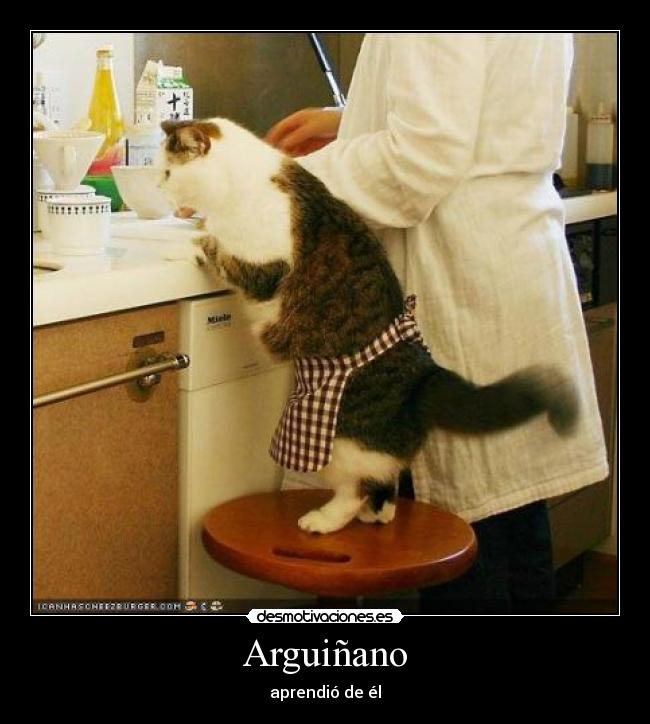 Arguiñano - aprendió de él