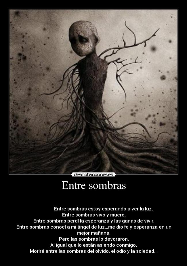 Entre sombras - 