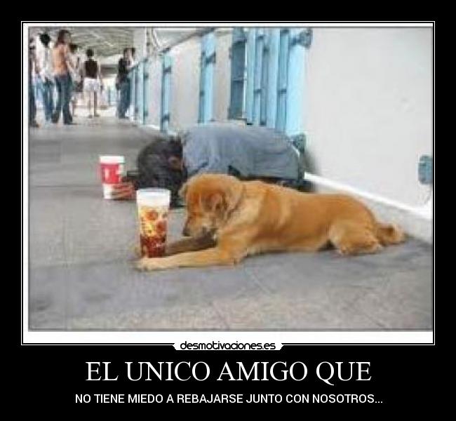 EL UNICO AMIGO QUE - 