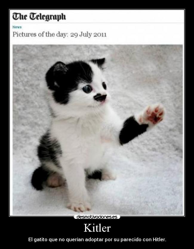 Kitler -