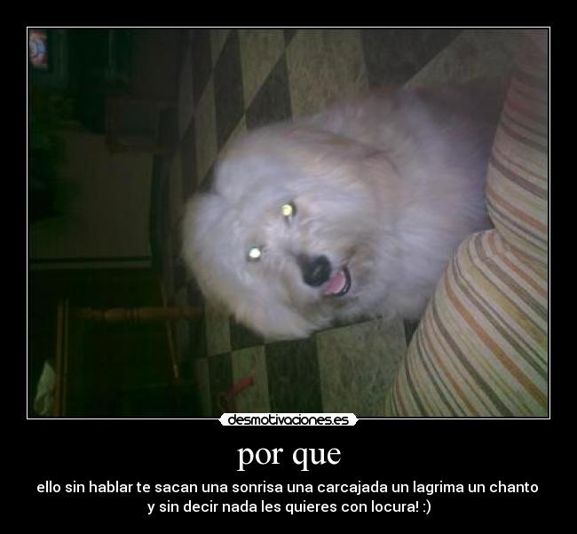 por que - ello sin hablar te sacan una sonrisa una carcajada un lagrima un chanto
y sin decir nada les quieres con locura! :)