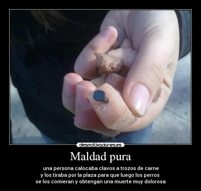 Maldad pura - 