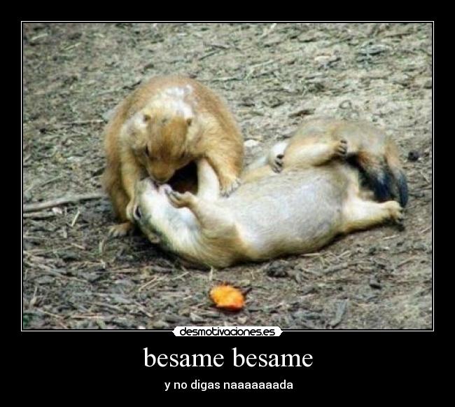 besame besame -  y no digas naaaaaaada