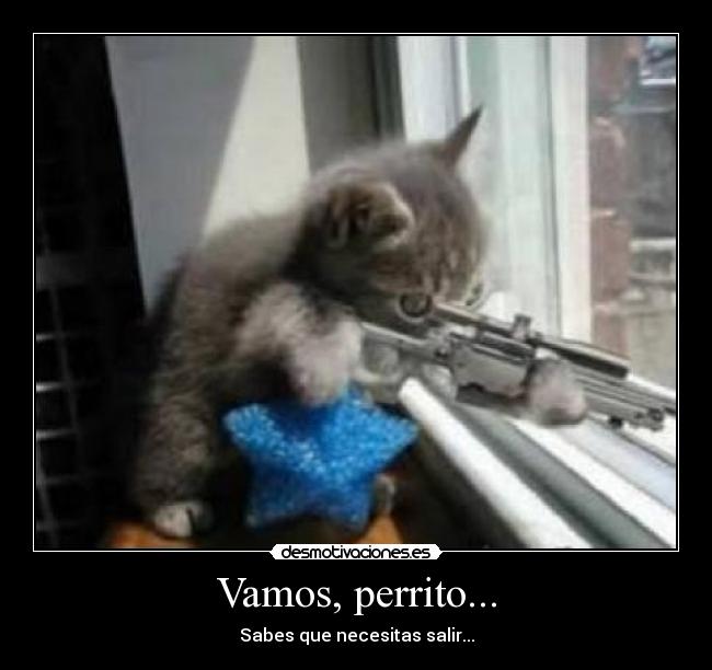Vamos, perrito... - Sabes que necesitas salir...
