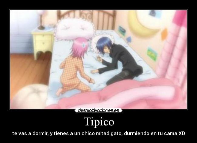 Tipico - 