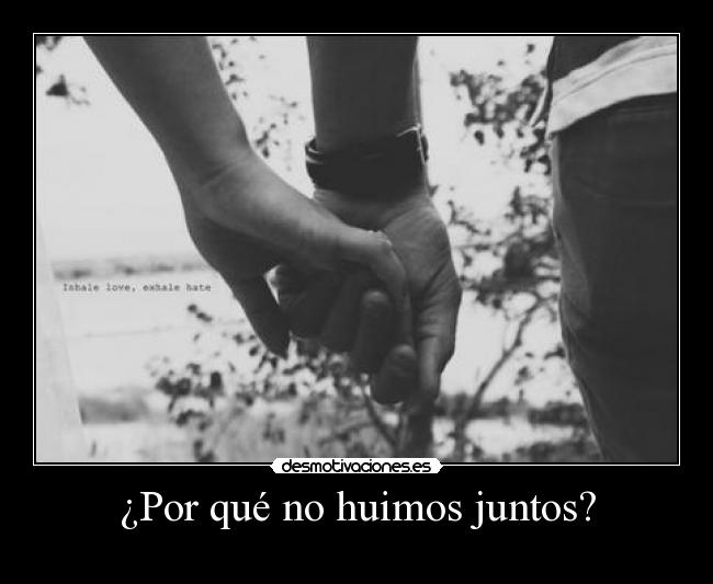 carteles seevrv desmotivaciones